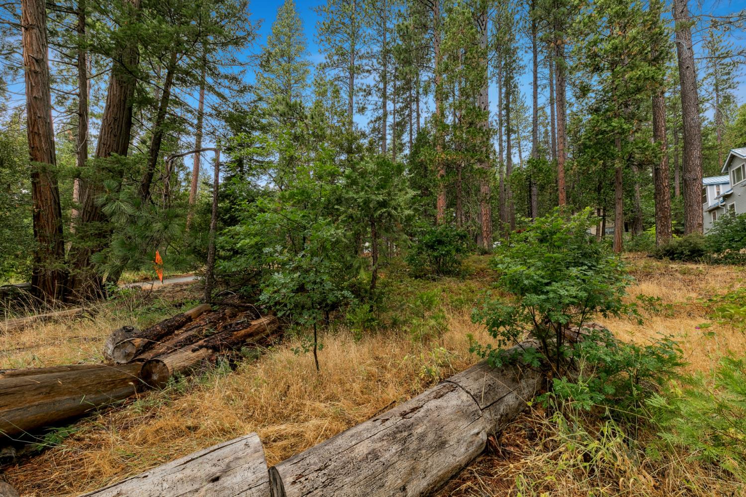 0 Pickwick Street Kyburz, CA 95720 - Photo 7 of 10 a view of a yard