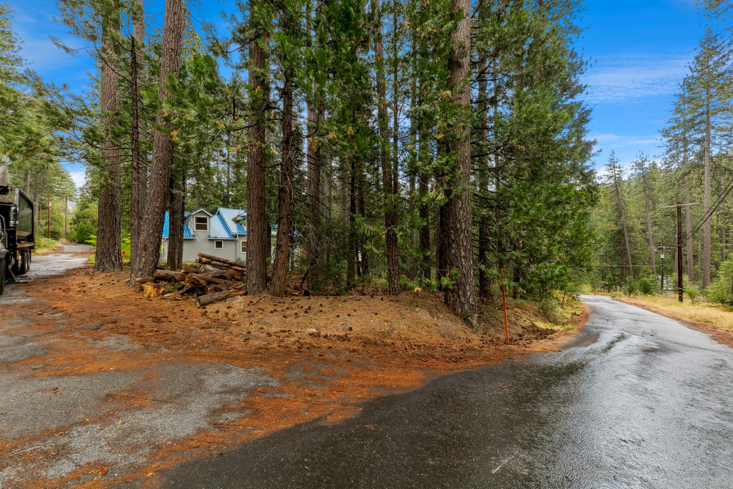 0 Pickwick Street Kyburz, CA 95720 - Photo 8 of 10 a view of outdoor space and yard