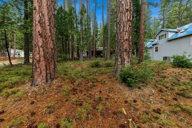 a view of a yard with a tree