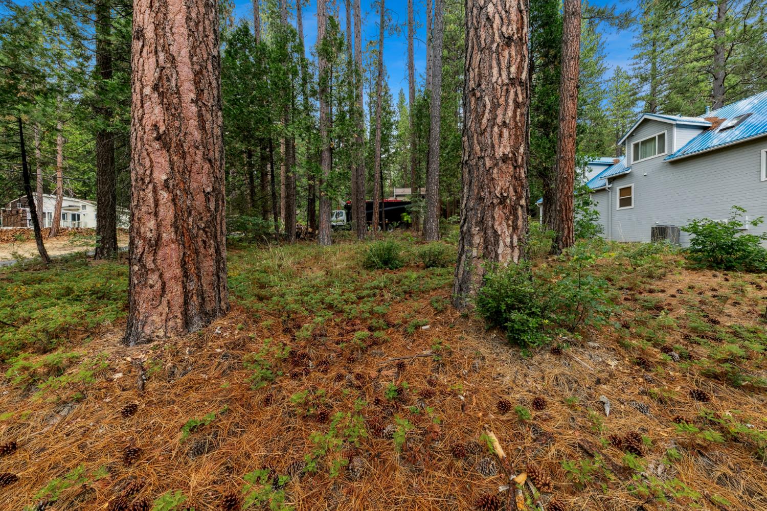 0 Pickwick Street Kyburz, CA 95720 - Photo 9 of 10 a view of a yard with plants and trees