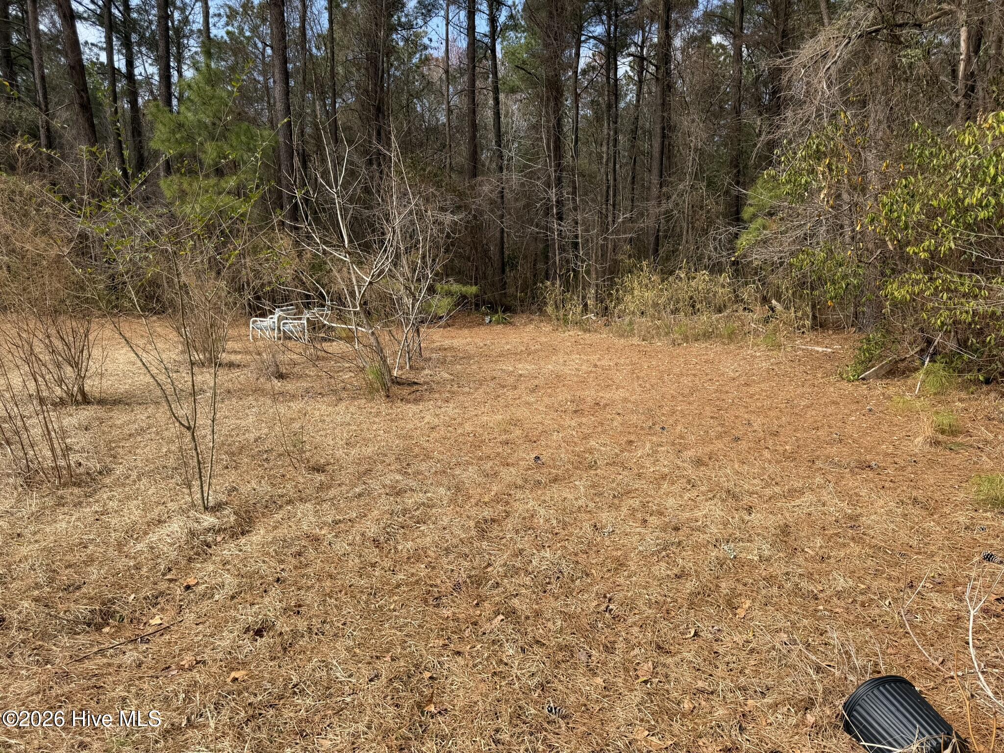 3414 Possum Hill Road Bath, NC 27808 - Photo 18 of 22 IMG_0161