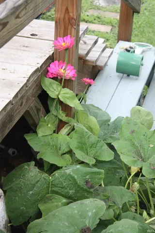 $209,900 | 614 North Riverside Drive, Winamac, IN 46996