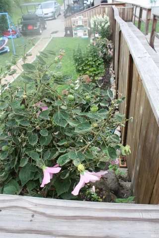 $209,900 | 614 North Riverside Drive, Winamac, IN 46996