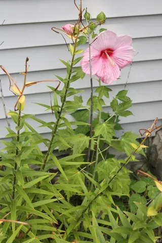 $209,900 | 614 North Riverside Drive, Winamac, IN 46996