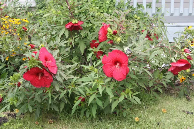 $209,900 | 614 North Riverside Drive, Winamac, IN 46996