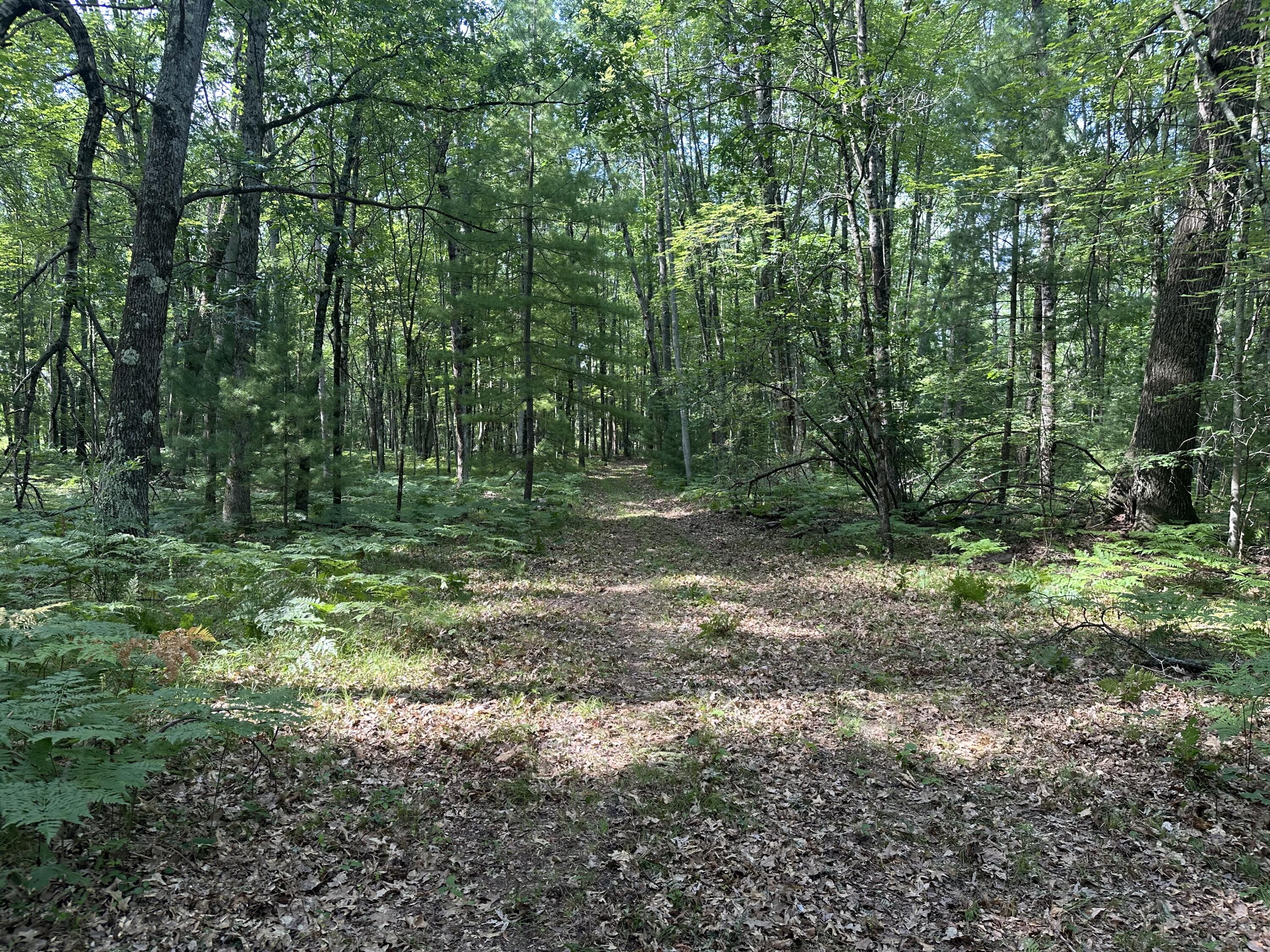 802 Beaver Road Bitely, MI 49309 - Photo 11 of 12 IMG_9290