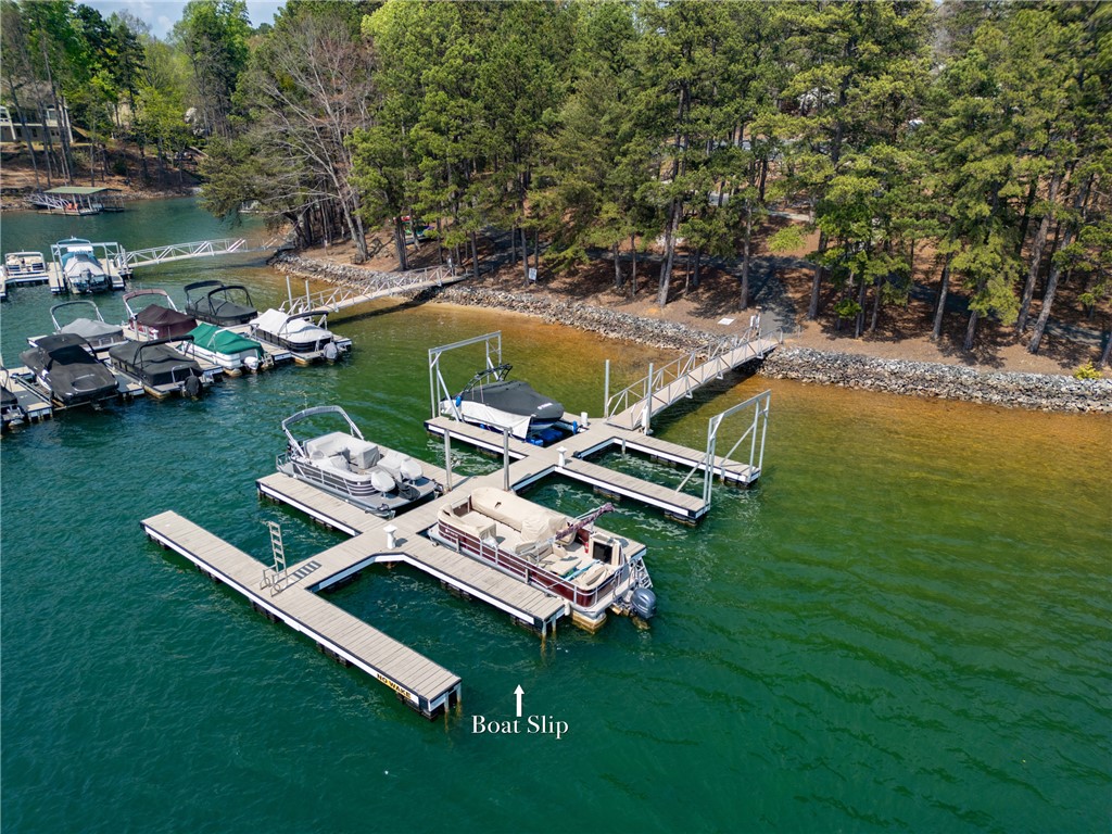 729 Navigator's Point, Unit POINTE Seneca, SC 29672 - Photo 4 of 48