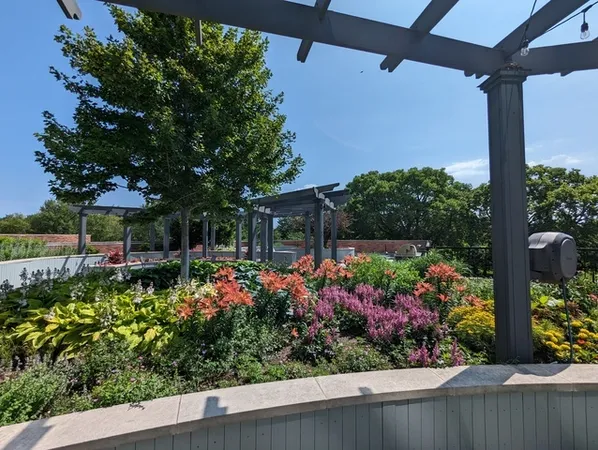 a view of a garden with flowers