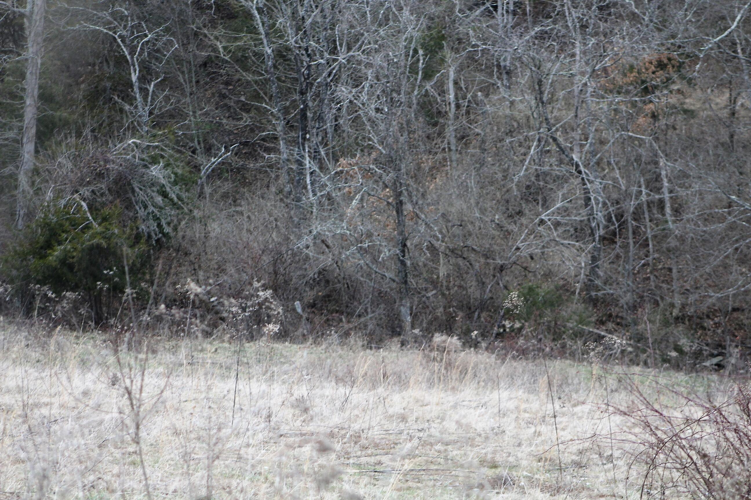 1544 Paxton Road Morning View, KY 41063 - Photo 14 of 30 Gallery Image 14