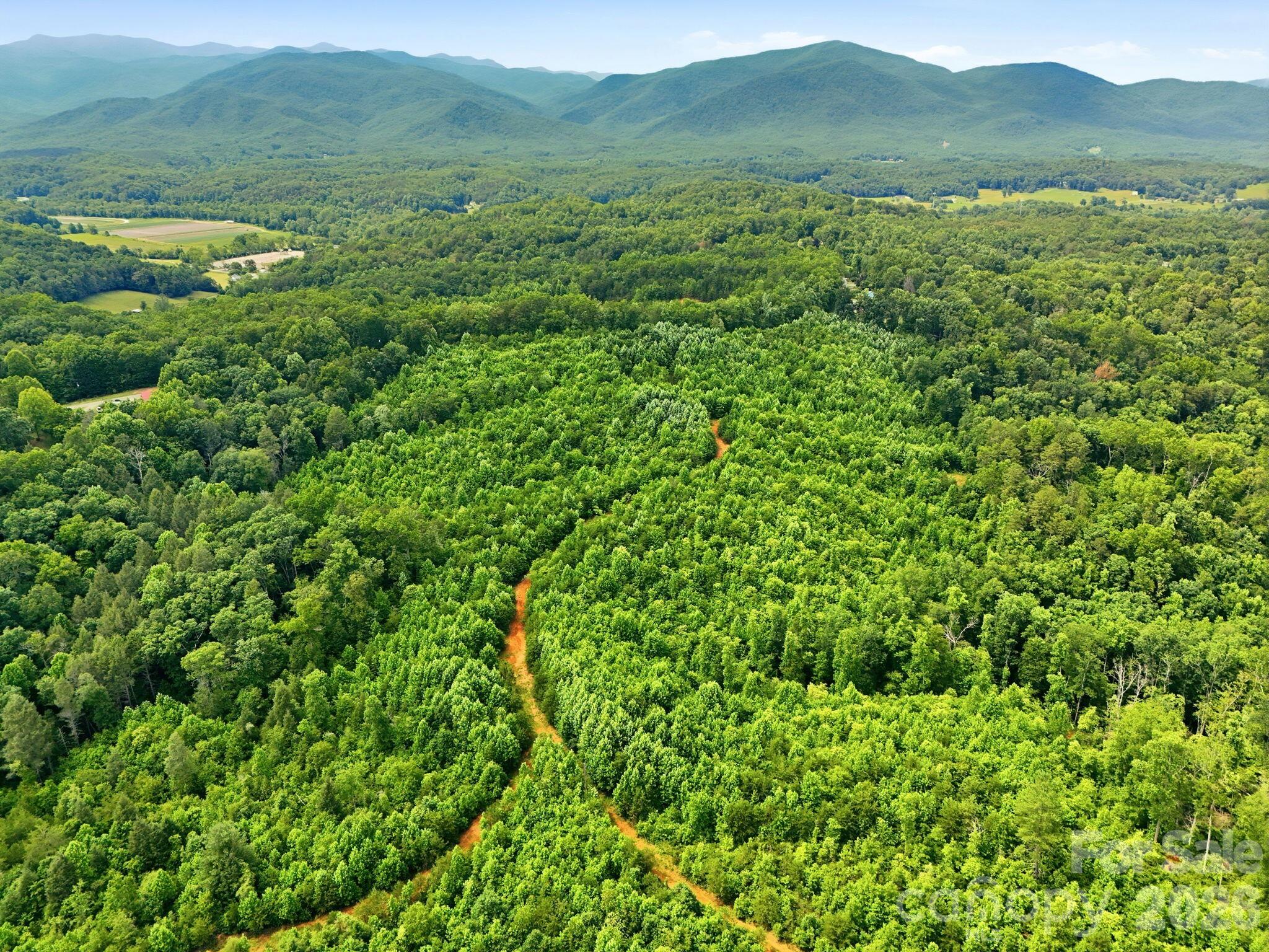 2301 Parker Padgett Road Old Fort, NC 28762 - Photo 4 of 17