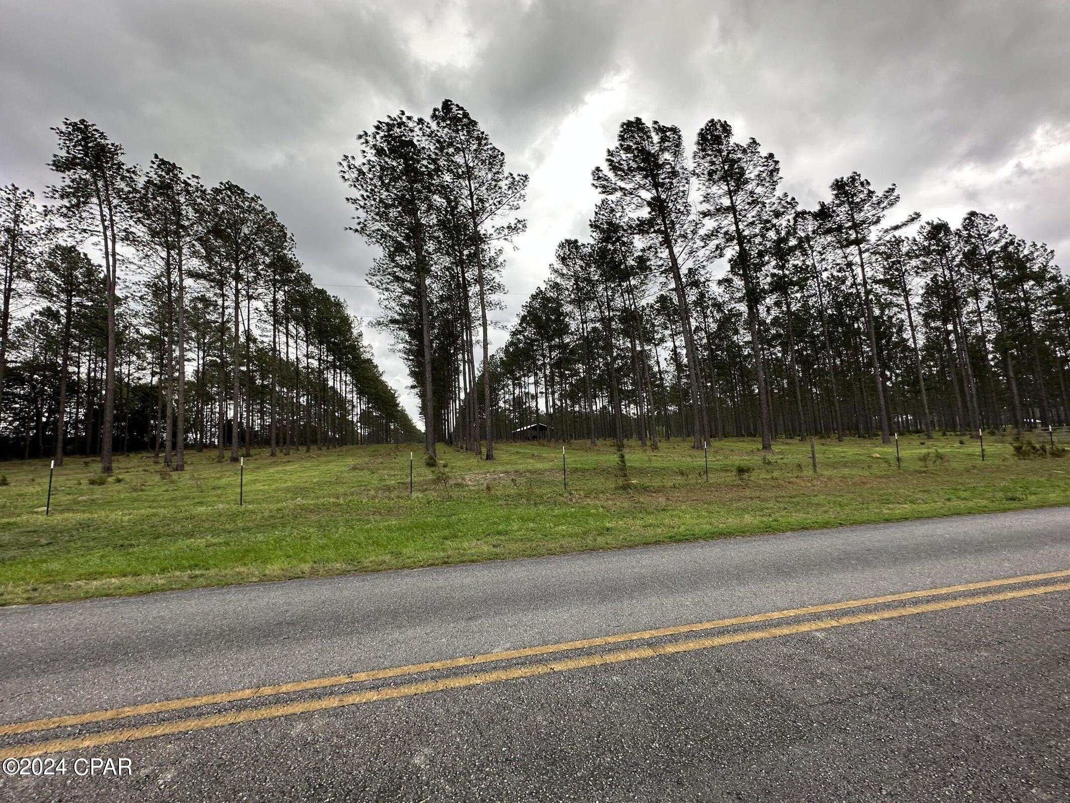 6201 8 Eight Mile Cemetery Road, Unit 1 DeFuniak Springs, FL 32433 - Photo 2 of 5 Gallery Image 2