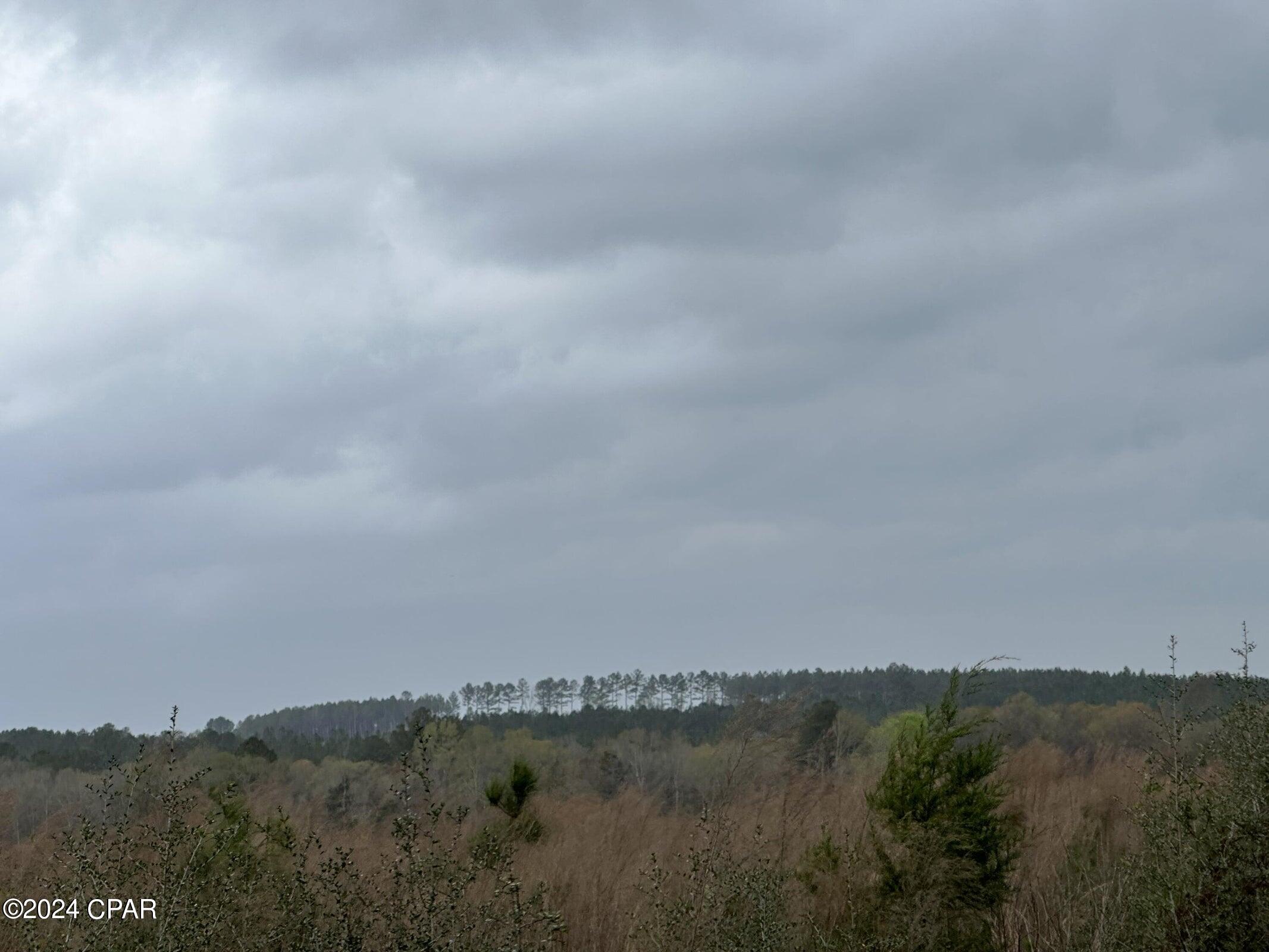 6201 8 Eight Mile Cemetery Road, Unit 1 DeFuniak Springs, FL 32433 - Photo 4 of 5 Gallery Image 4