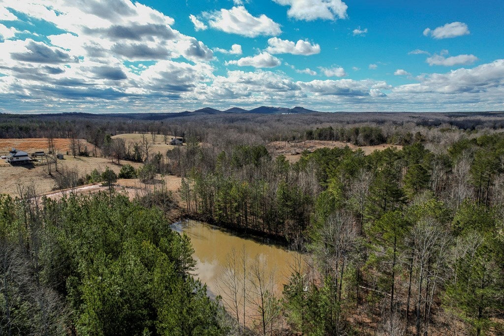 Scotts Bottom Road, Unit 17 Dillwyn, VA 23936 - Photo 16 of 31 Gallery Image 16