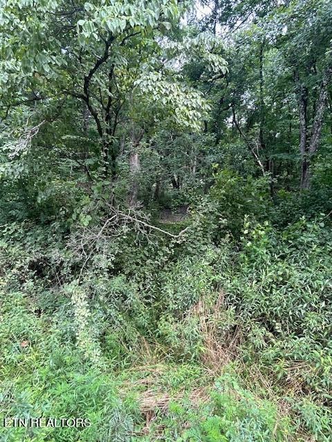 183 Ridge Road Crossville, TN 38572 - Photo 13 of 17