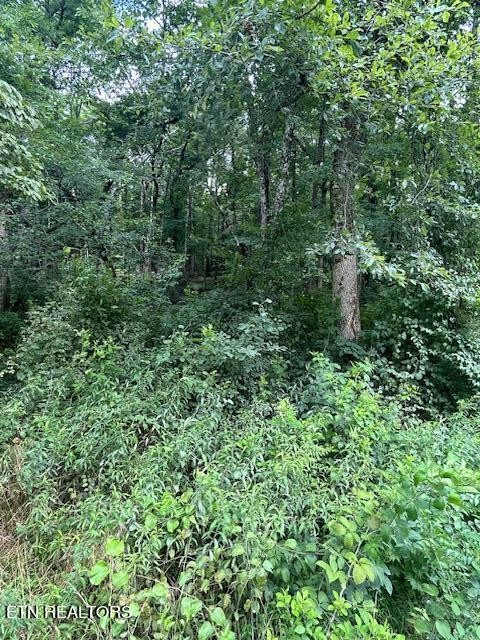 183 Ridge Road Crossville, TN 38572 - Photo 14 of 17