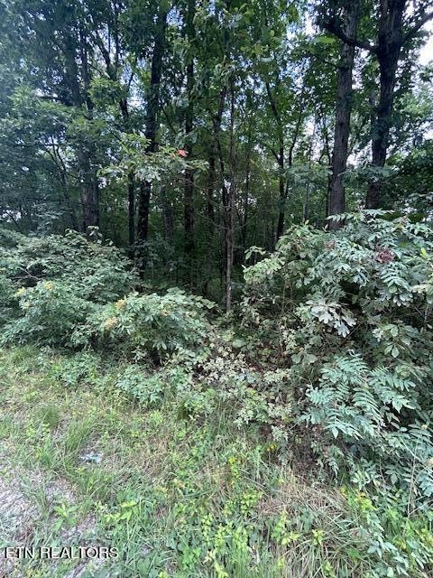 183 Ridge Road Crossville, TN 38572 - Photo 15 of 17