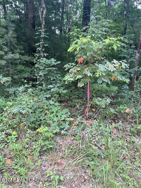 183 Ridge Road Crossville, TN 38572 - Photo 16 of 17