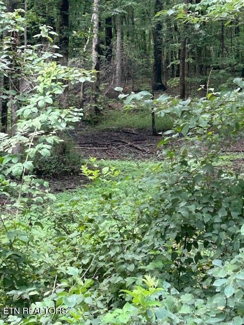 183 Ridge Road Crossville, TN 38572 - Photo 2 of 17