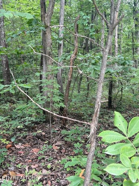 183 Ridge Road Crossville, TN 38572 - Photo 5 of 17