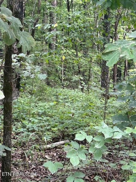 183 Ridge Road Crossville, TN 38572 - Photo 6 of 17
