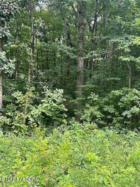 183 Ridge Road Crossville, TN 38572 - Photo 9 of 17