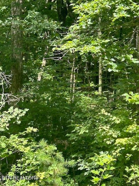 183 Ridge Road Crossville, TN 38572 - Photo 10 of 17