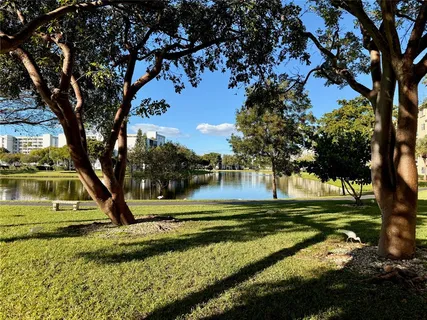 a view of a park with large trees
