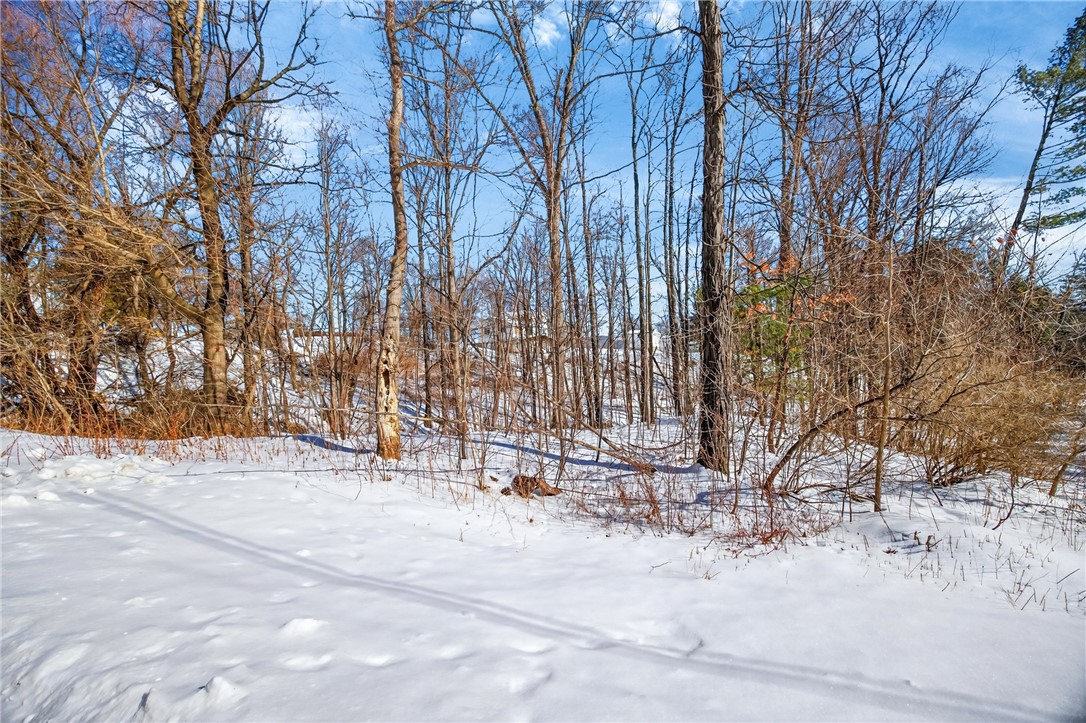 Roff Hill Road Pulteney, NY 14840 - Photo 13 of 14