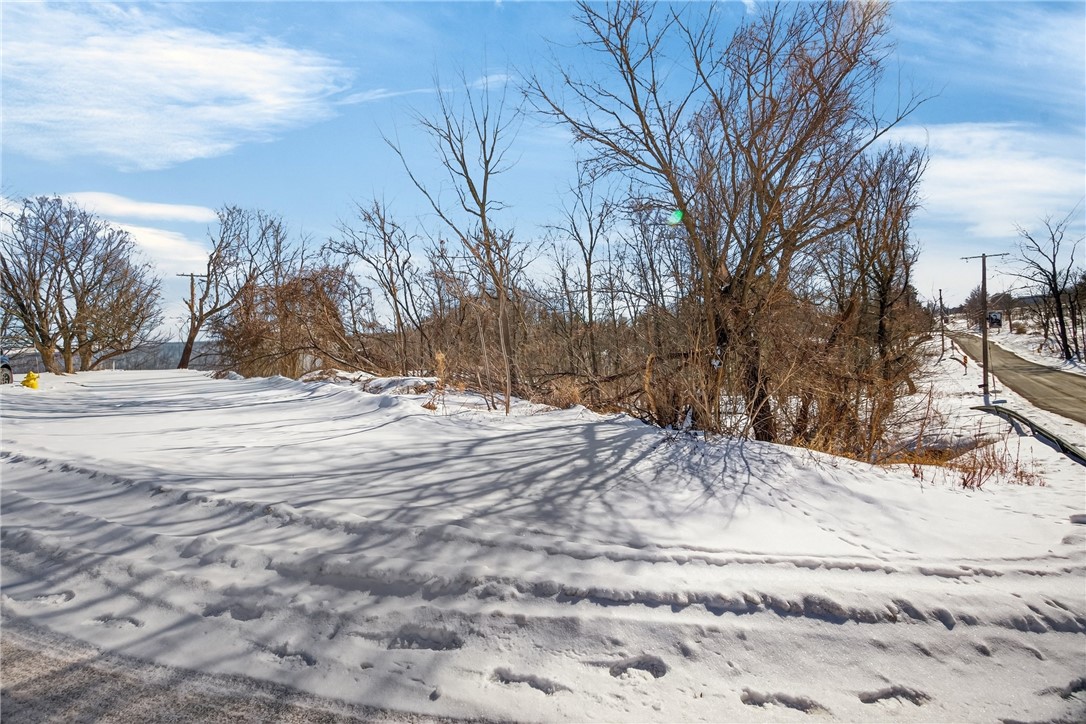 Roff Hill Road Pulteney, NY 14840 - Photo 3 of 14
