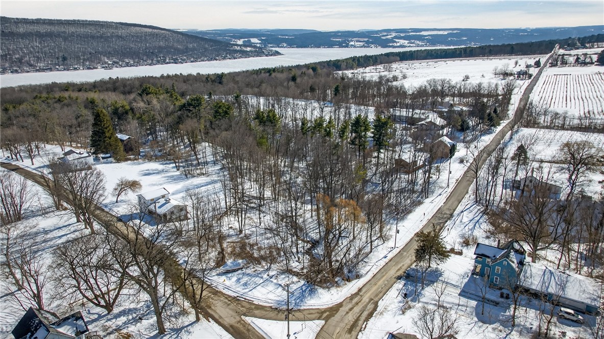 Roff Hill Road Pulteney, NY 14840 - Photo 4 of 14