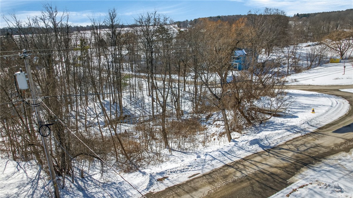 Roff Hill Road Pulteney, NY 14840 - Photo 10 of 14