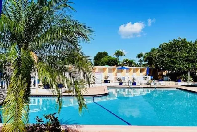a view of a backyard with swimming pool