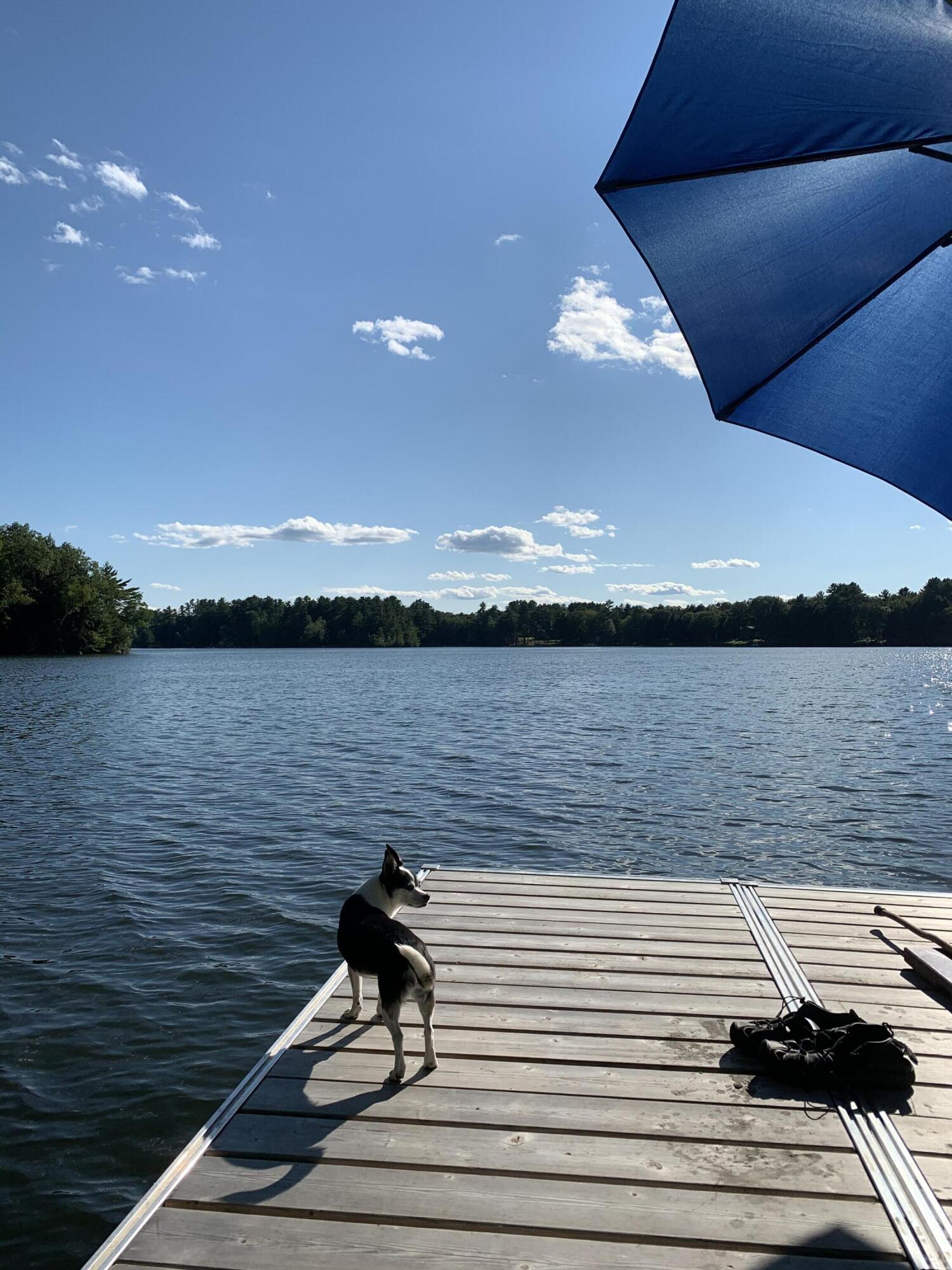 77 Holmes Road Winthrop, ME 04364 - Photo 4 of 74 IMG_0309