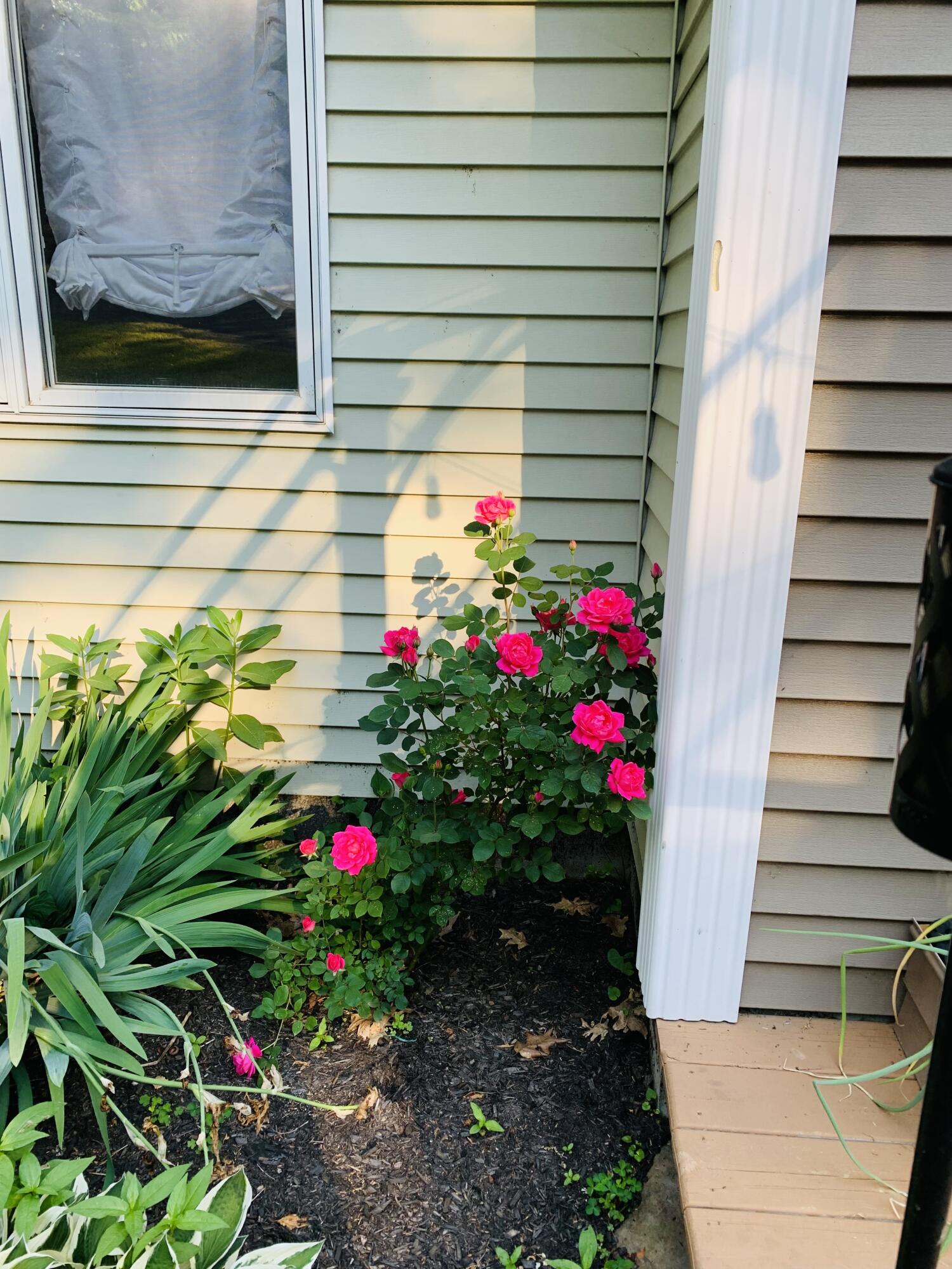 77 Holmes Road Winthrop, ME 04364 - Photo 65 of 74 64484403291__4A070DD7-A2CF-4A53-B2D7-848