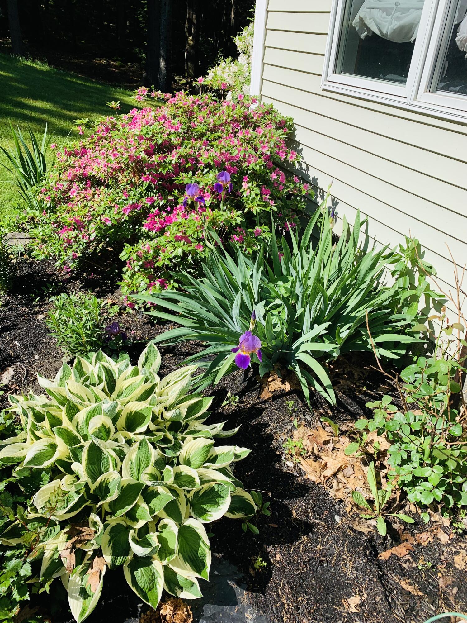 77 Holmes Road Winthrop, ME 04364 - Photo 67 of 74 IMG_4230