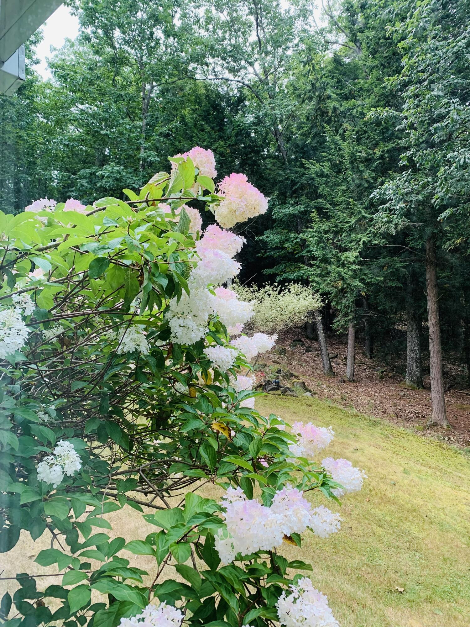 77 Holmes Road Winthrop, ME 04364 - Photo 68 of 74 IMG_1929