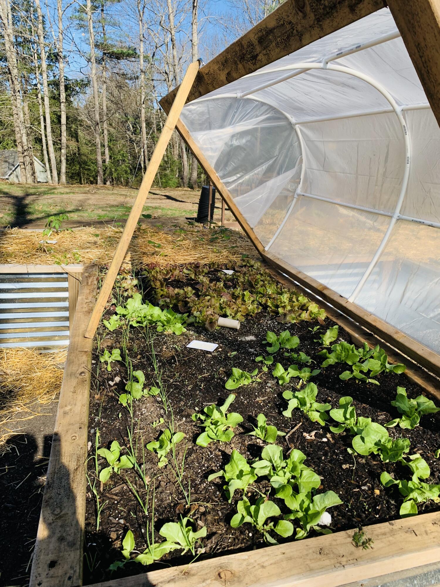 77 Holmes Road Winthrop, ME 04364 - Photo 71 of 74 IMG_1047