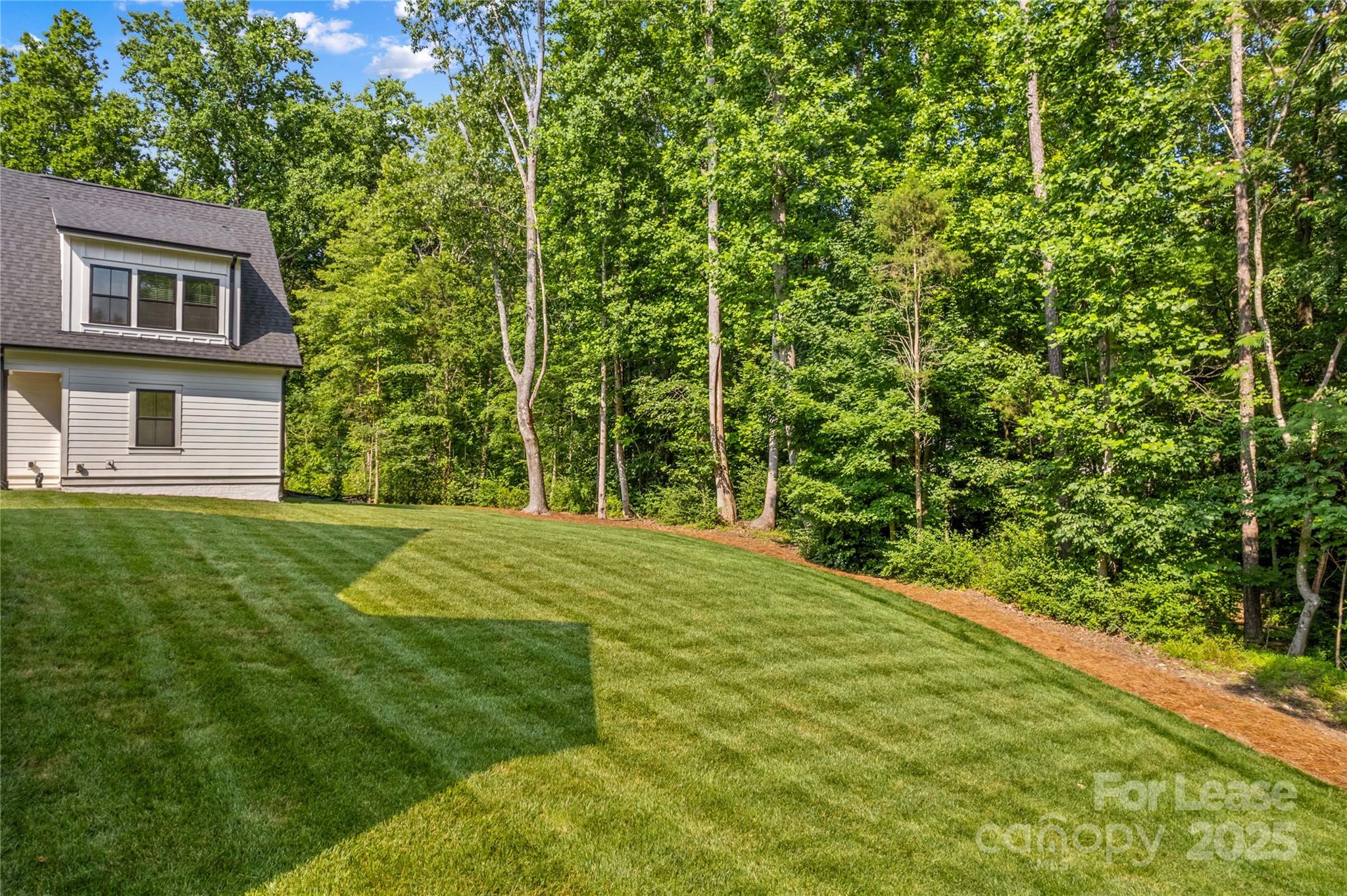 269 Conroy Avenue Davidson, NC 28036 - Photo 45 of 48 a view of a backyard with large trees