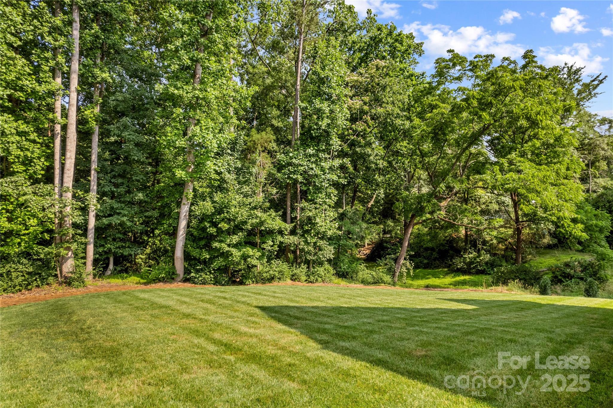 269 Conroy Avenue Davidson, NC 28036 - Photo 46 of 48 a view of a park with large trees