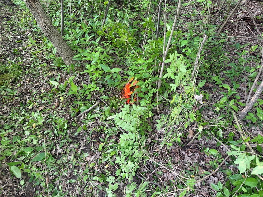 0 Dayton Road Madison, OH 44057 - Photo 10 of 12 Image quality insufficient for description
