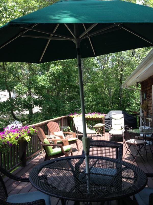 168 Holly Point Road Centerville, MA 02632 - Photo 5 of 28 a patio view with a seating space