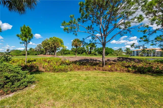 a view of a garden with a tree
