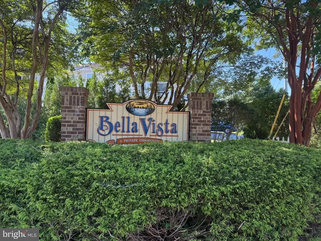 a view of a park that has large trees