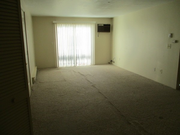 50 Gibbs Street, Unit 5 Worcester, MA 01607 - Photo 3 of 11 Gallery Image 3