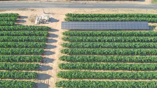 $3,400,000 | 14594 East Prouty Road, Galt, CA 95632