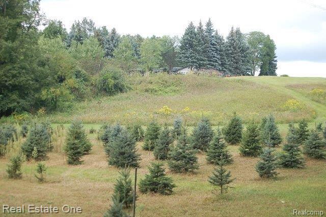 5461 Whipple Lake Road Clarkston, MI 48348 - Photo 17 of 25 trees 5
