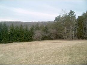 197 Death Valley Road Johnson City, NY 13790 - Photo 12 of 12 Gallery Image 12