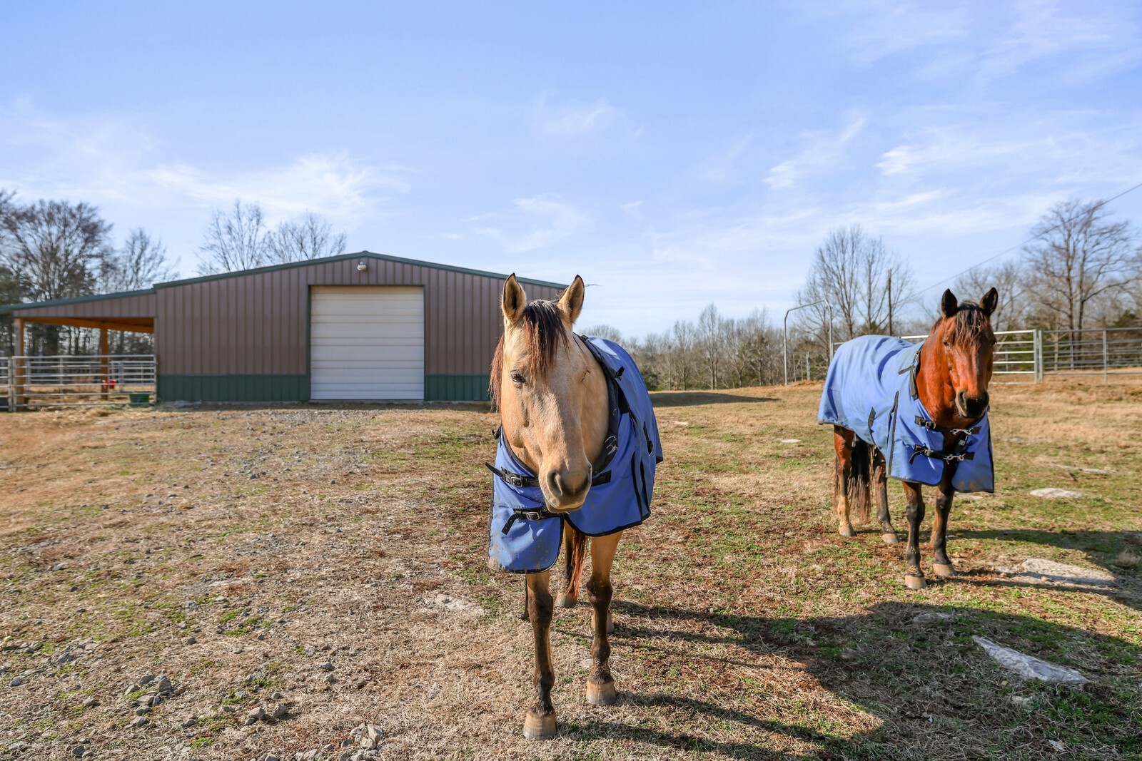 3755 Holmes Gap Road Watertown, TN 37184 - Photo 66 of 71