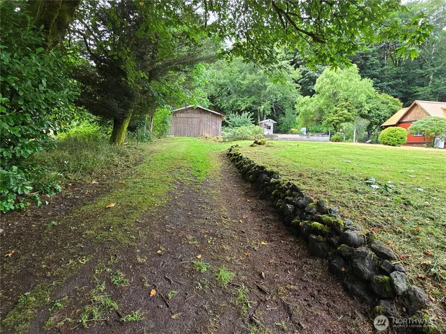 a big yard with lots of green space and plants