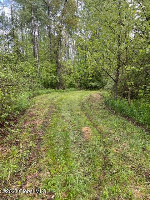 L34 Ridge Road Queensbury, NY 12804 - Photo 4 of 11 Driveway